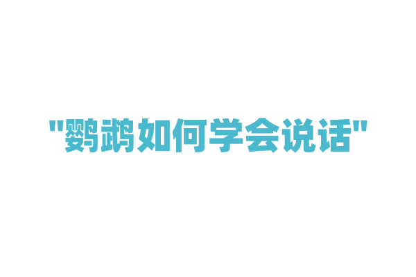 "鹦鹉如何学会说话"